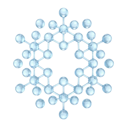 Sodium Phytate