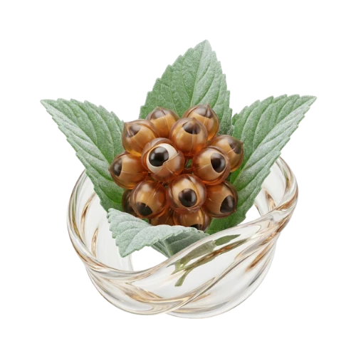 Guarana Extract